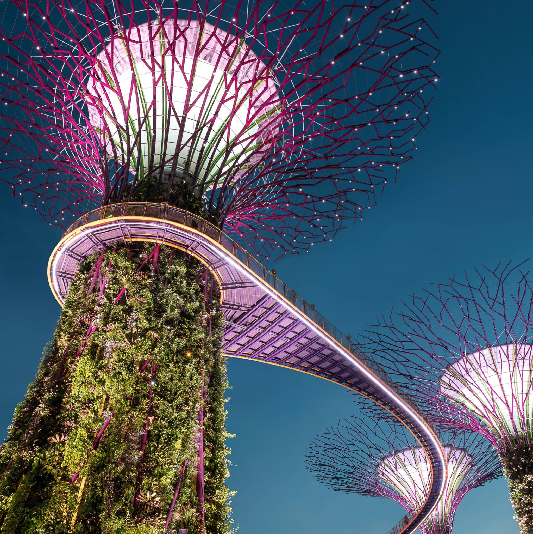 4D Singapore Tour